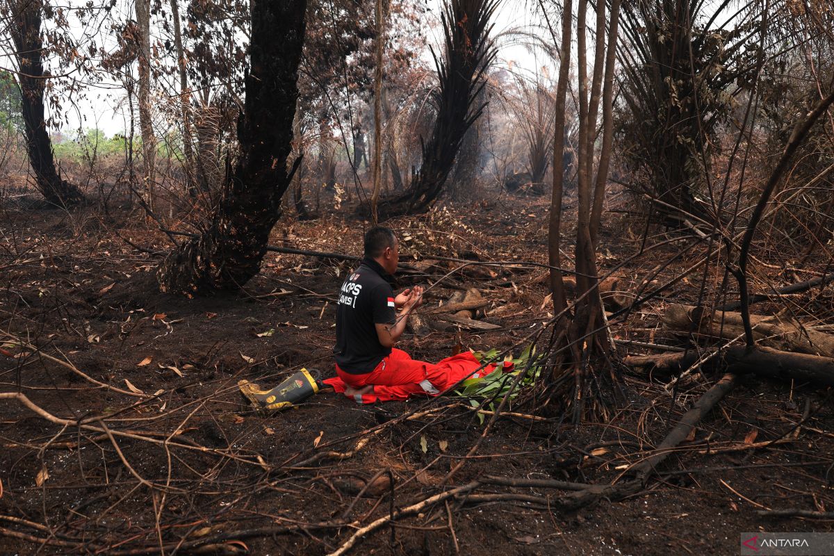 758 Personel Manggala Agni Dikerahkan ke Kalimantan Barat dan Kalteng, 45 Pasukan Tambahan dari Jawa hingga Sulawesi