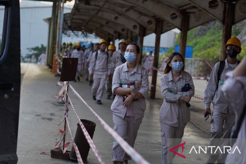 Omzet Rp 500 Ribu per Hari: Lisnawati Buktikan UMKM Morowali Tumbuh 51,9 Persen di Bayang-bayang Industri Nikel IMIP