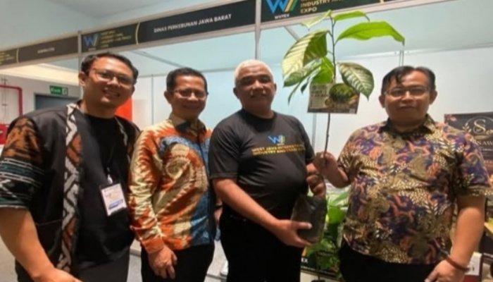 Saeful Bachri Dorong Jawa Barat Jadi Sentra Kakao Nasional, 100 Hektare Lahan di Kabupaten Bandung Siap Dikembangkan