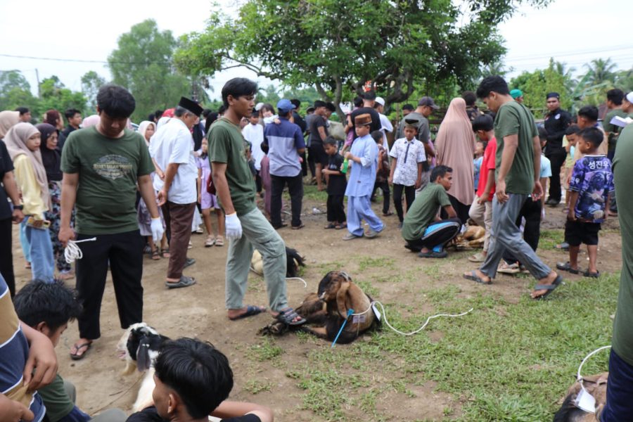 PHR Zona 1 Salurkan 35 Sapi dan 32 Kambing di Jambi, Warga Kenali Asam Atas Rasakan Manfaat Kurban