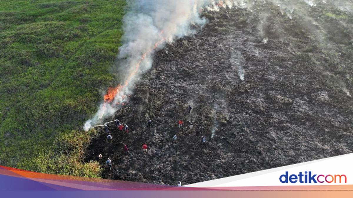 Karhutla Lahan Gambut di OKI dan Muara Enim Belum Padam, Luas Terbakar Capai 16,5 Hektare