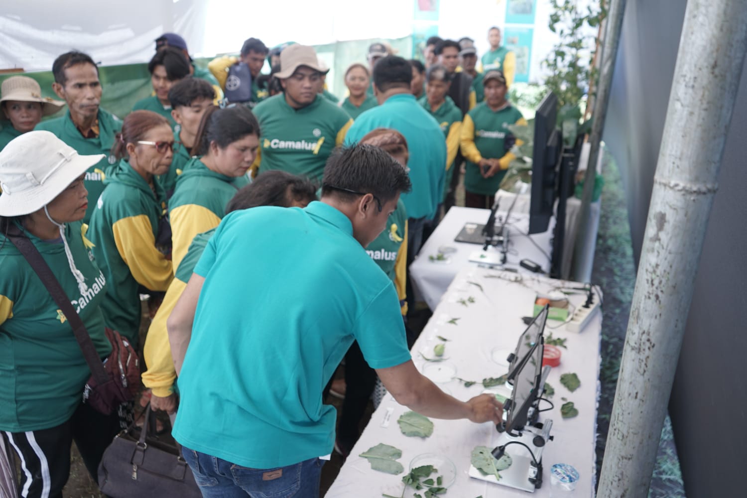 Bayer Luncurkan Insektisida Generasi Baru Camalus di Sumut, Klaim Tekan Biaya Produksi Petani Hortikultura