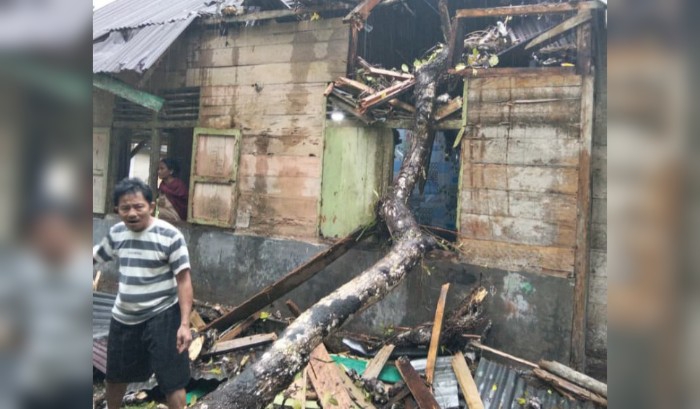 Pohon Tumbang Timpa Rumah Warga di Gido Nias, Kerugian Ditaksir Capai Puluhan Juta Rupiah
