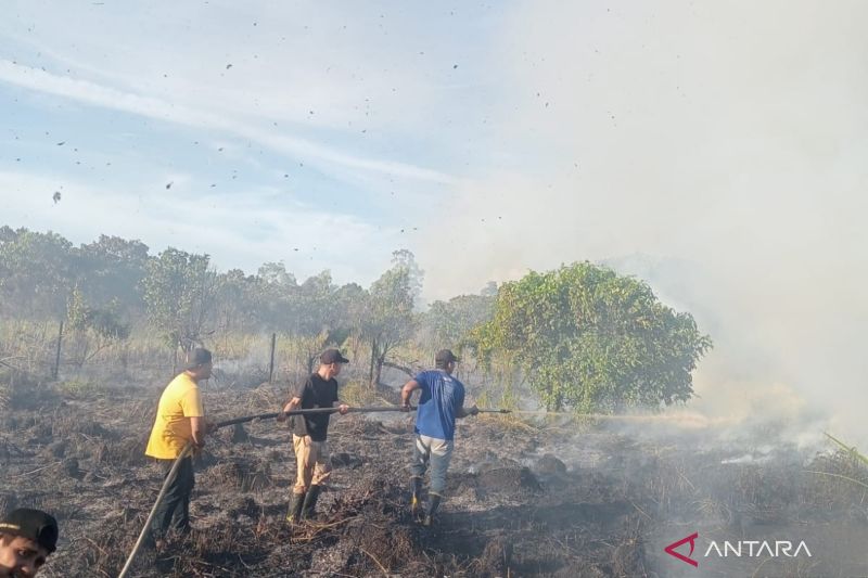 Karhutla Landa Dua Kabupaten di Aceh, BNPB Minta Patroli Diperketat di Awal Musim Kemarau