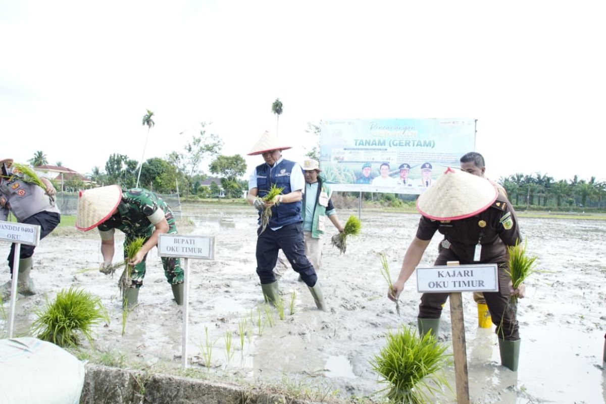 Hadapi Ancaman El Nino, Pemkab OKU Timur Canangkan Gerakan Tanam Padi Serentak di Desa Srikaton