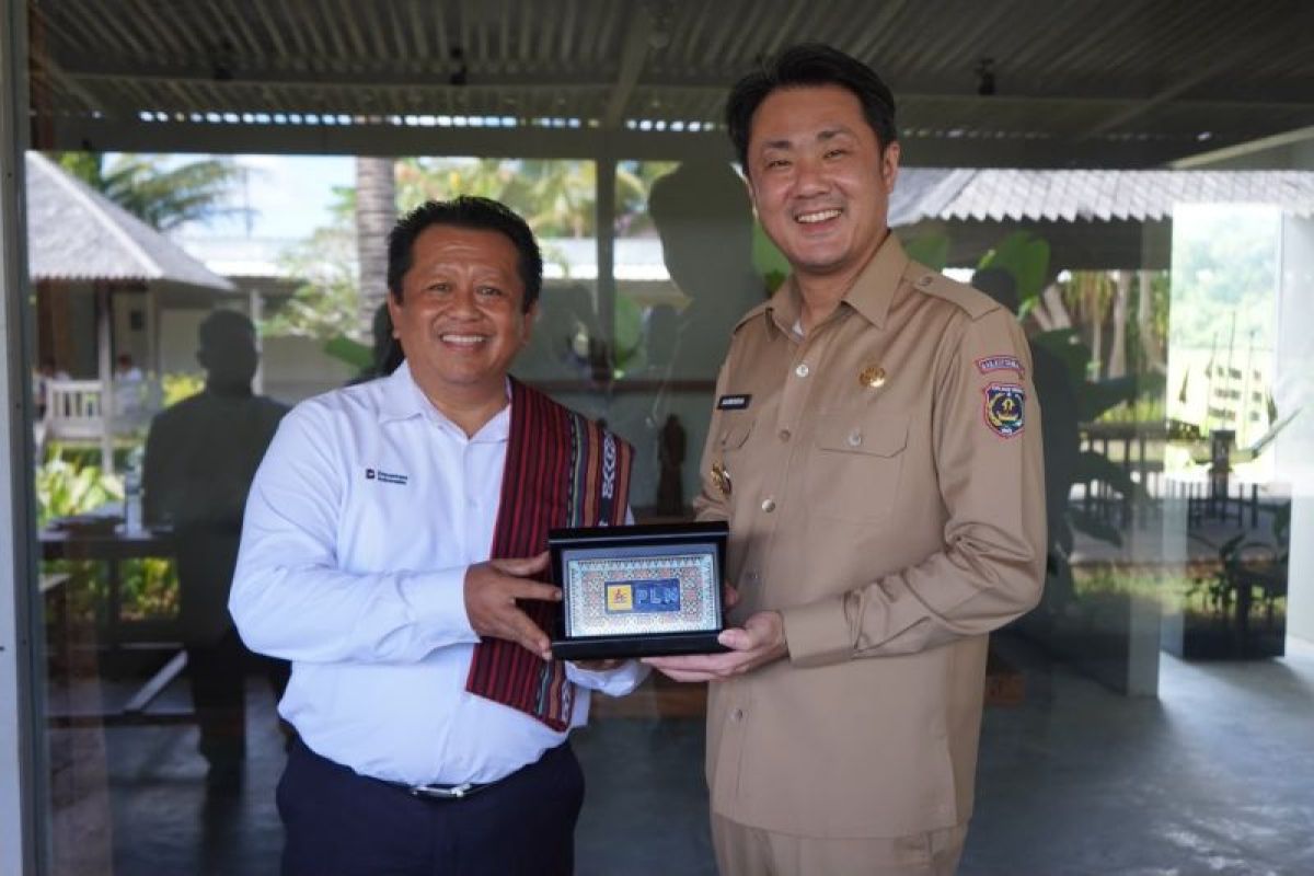 PLN dan Pemkab Kepulauan Tanimbar Perkuat Kolaborasi Jaga Keandalan Listrik demi Percepatan Pembangunan Daerah