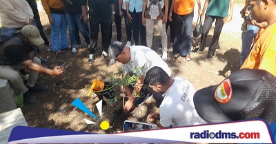 Bupati Aru Sebut Mutiara Putih Terbaik Mulai Sulit Berkembang Akibat Alam Terganggu, Dorong Bangunan Ramah Lingkungan
