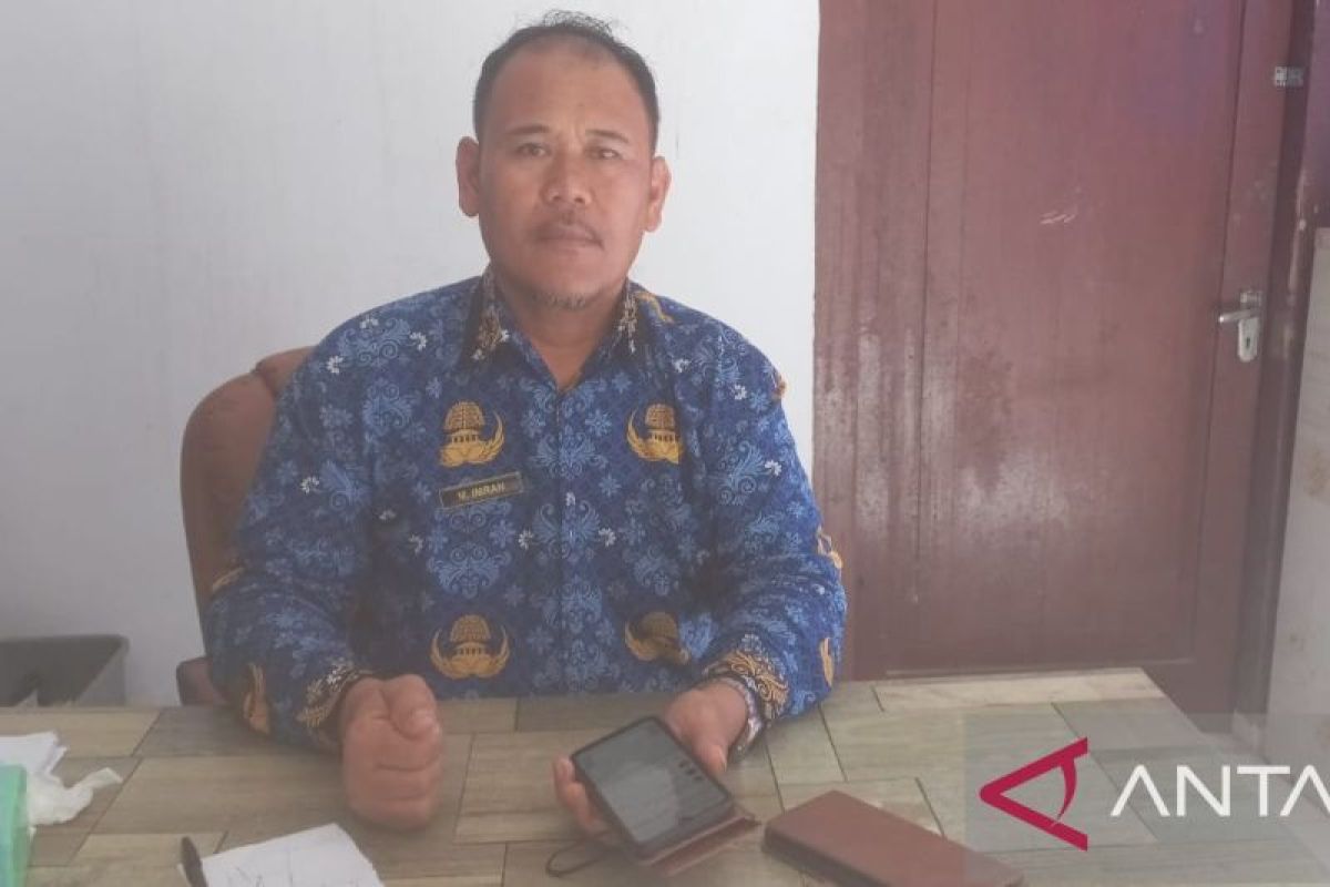 Pemkab Bangka Siapkan 23 Hektare Lahan di Mendo Barat untuk Kembangkan Padi Organik, Target Rehab Lahan 2027
