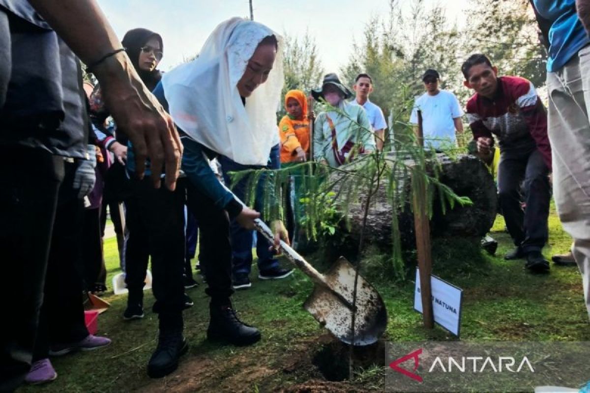 Bupati Natuna Cen Sui Lan Tanam 40 Pohon di Pantai Piwang Sambut Hari Lingkungan Hidup Sedunia