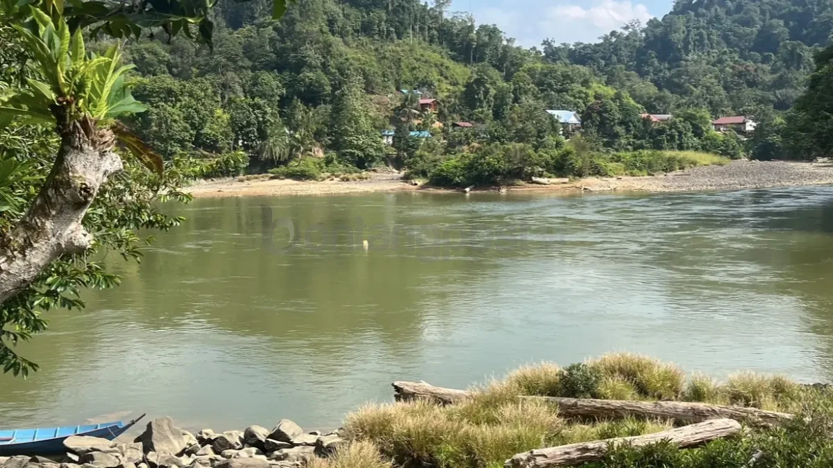 Harga Beras Tembus Rp1 Juta per Karung di Long Apari Mahulu, Pemuda Perbatasan Pertanyakan Kehadiran Negara