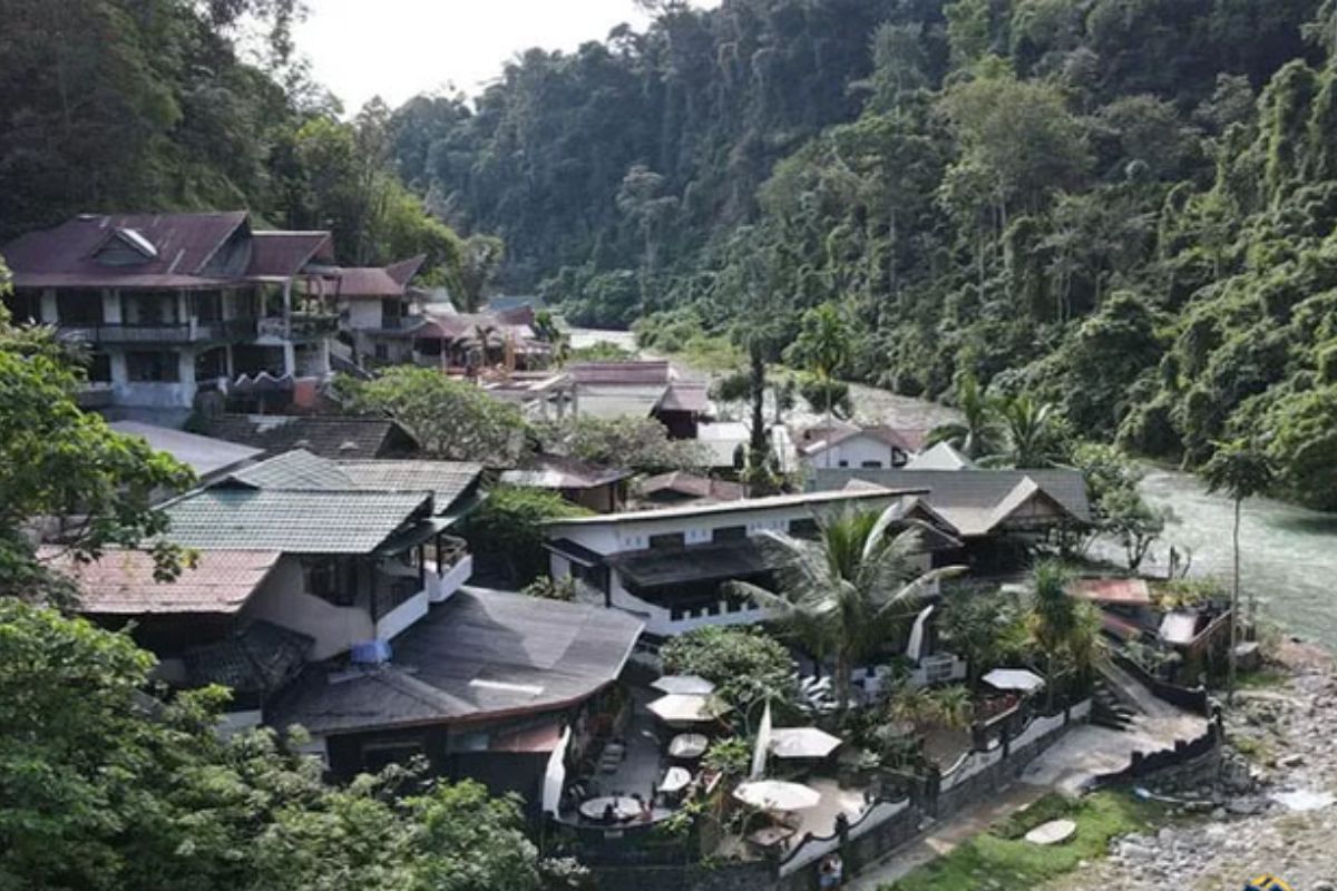 Menilik Suasana Kaki Gunung Leuser: 7 Rekomendasi Penginapan di Sekitar Bukit Lawang