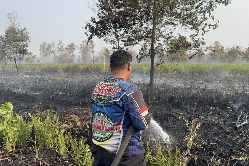 Tim Gabungan Padamkan Karhutla di Jekan Raya Palangka Raya dan Pulang Pisau, Lahan Gambut Masih Menyisakan Kepulan Asap