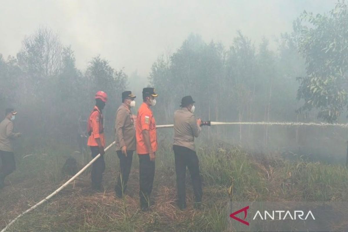 Kapolda Kalsel Pimpin Pemadaman Karhutla di Sekitar Bandara Syamsudin Noor, Api Sempat Berjarak 10 Meter dari Rumah Warga