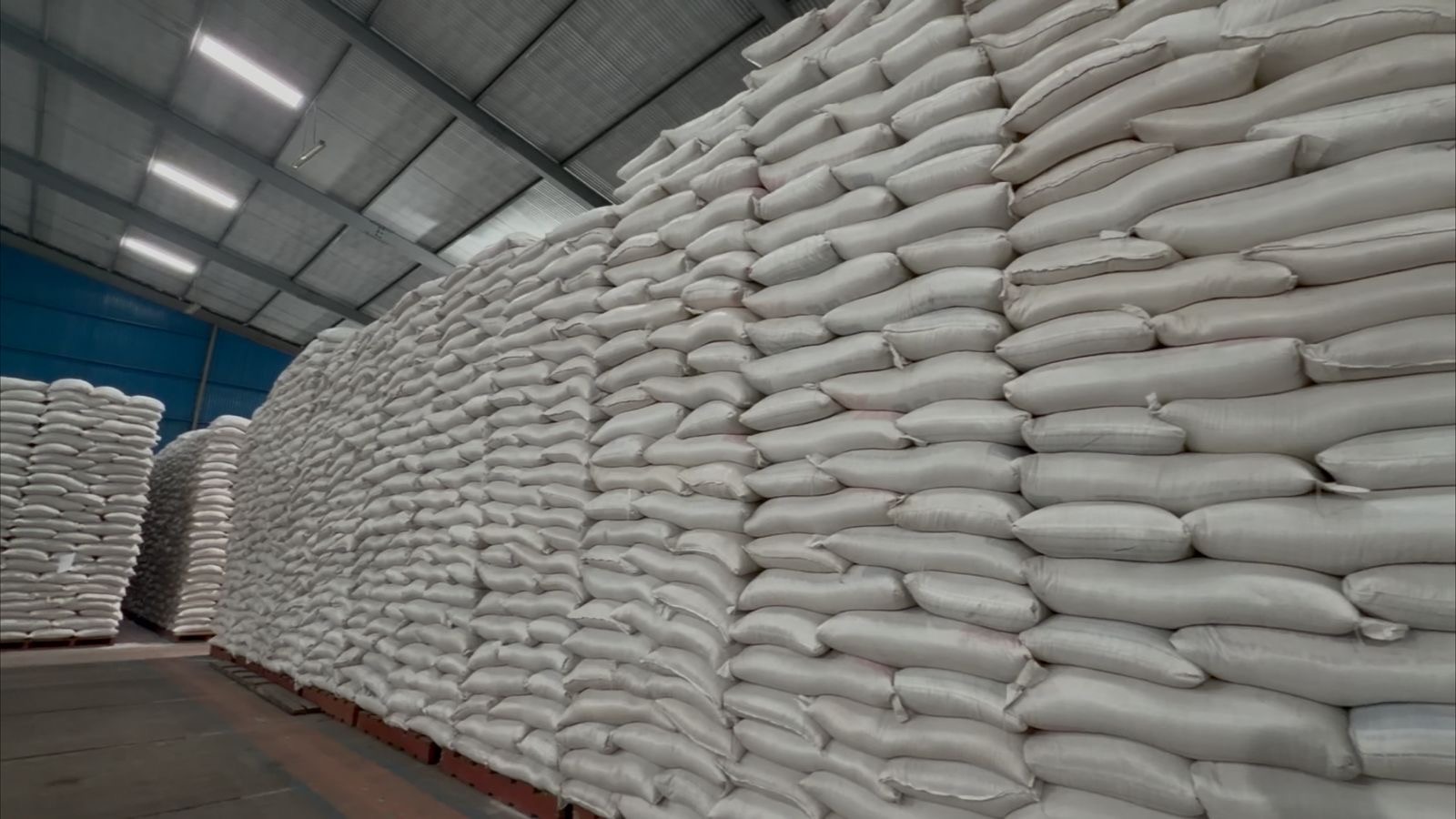 BULOG Bali Serap 9.324 Ton Gabah Petani Hingga Awal Juni 2026, Stok Beras Nasional Tembus 5 Juta Ton