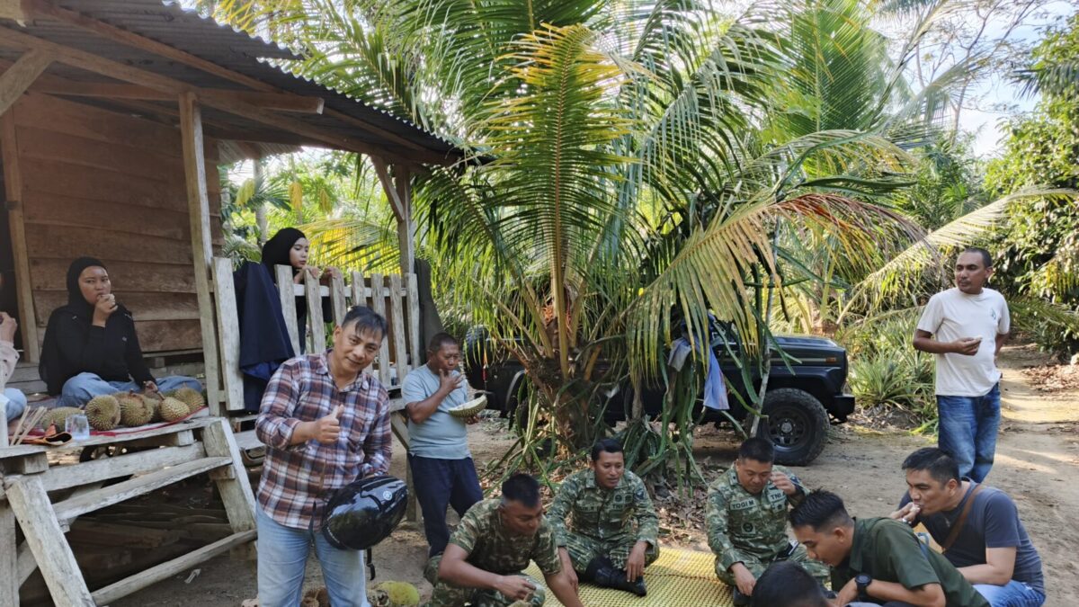 5 Hal yang Perlu Diketahui Sebelum Menikmati Durian Langsung di Kebun Bangka, dari Harga hingga Varietas Unggulan