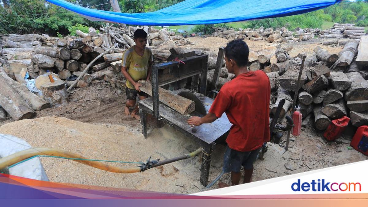 Limbah Kayu di Aceh Barat Disulap Jadi Woodchip dan Sawdust, Pasok Bahan Bakar PLTU