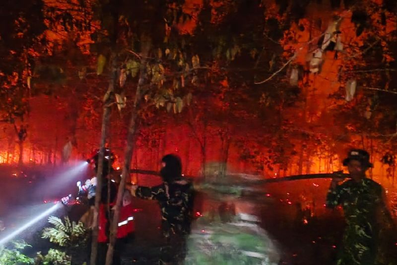 Kabut Asap Pekat Selimuti Barito Selatan, 383 Titik Panas Terpantau dan ISPU Tembus Level Berbahaya