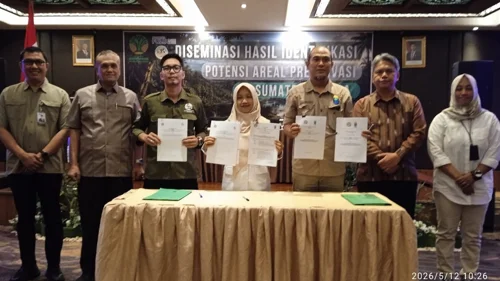 BBKSDA Sumatera Utara Gandeng Dua Mitra Baru, Perkuat Koridor Habitat Orangutan di Tiga Kawasan Hutan