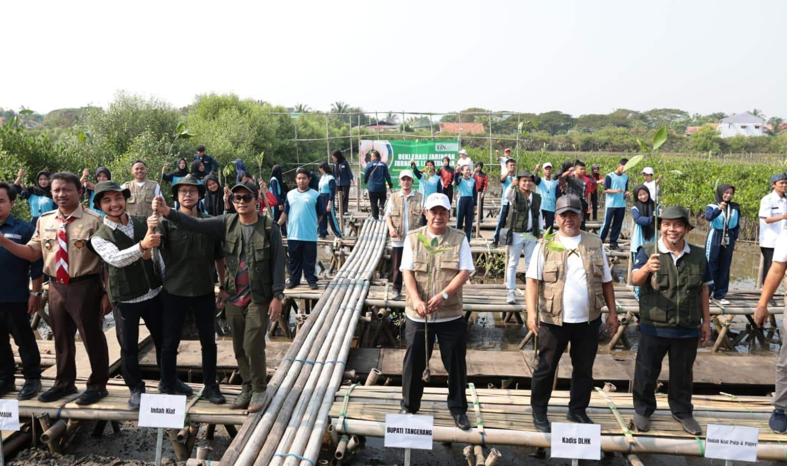 PT IKPP Tangerang Tanam 183 Ribu Mangrove di Pesisir Utara, Target Perluas Rehabilitasi Ekosistem