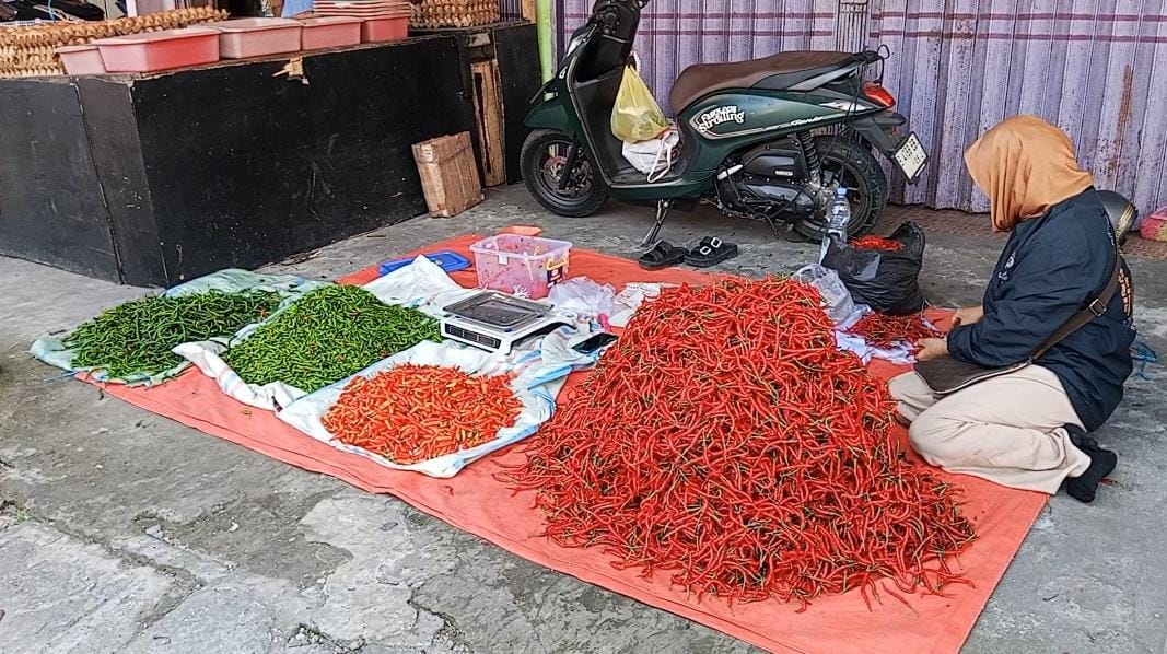 Harga Cabe Merah di Rejang Lebong Turun Jadi Rp 35 Ribu, Cabe Hijau Justru Naik ke Rp 28 Ribu