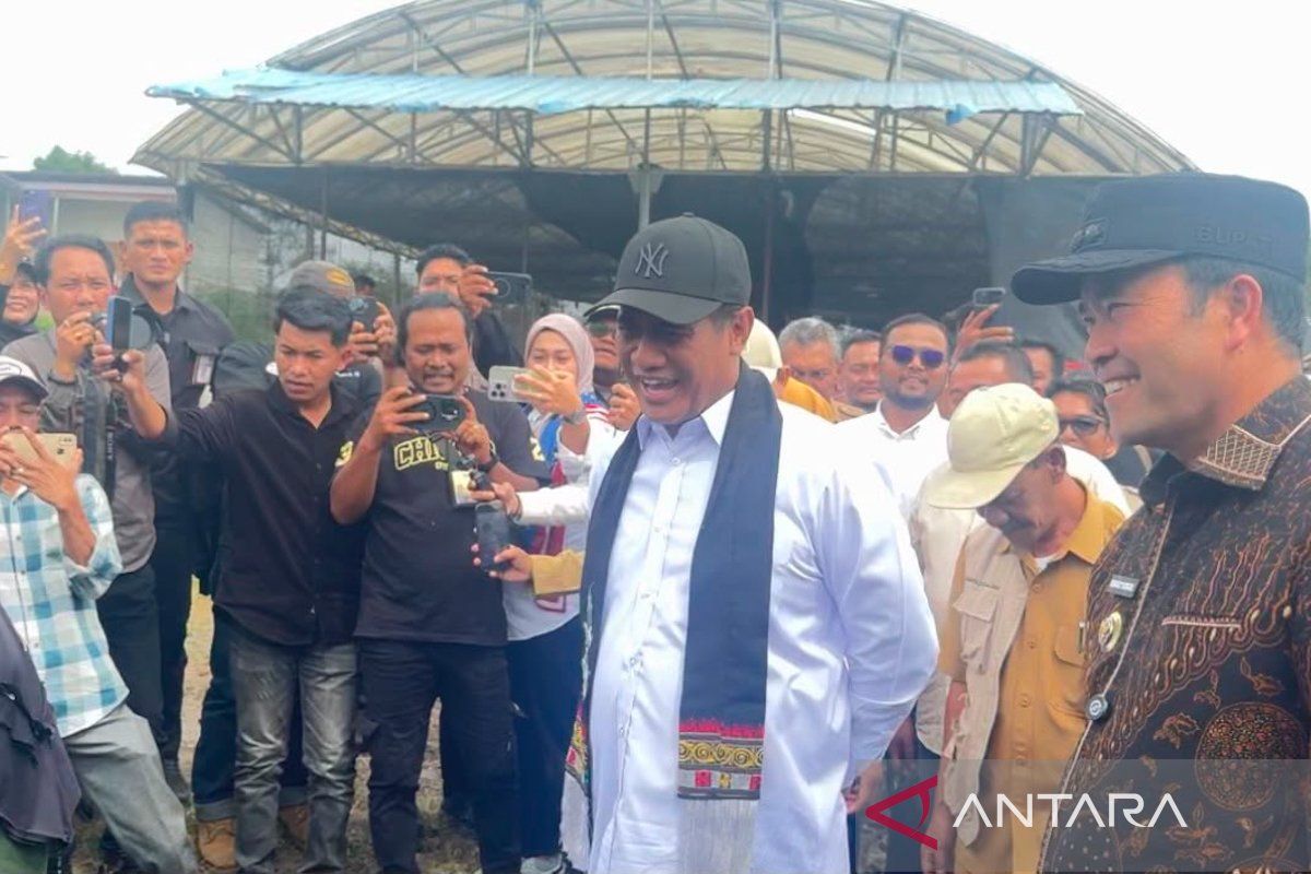 Menteri Pertanian Amran Sulaiman Ancam Tutup Perusahaan yang Mainkan Harga Sawit, Petani Jambi Bisa Bernapas Lega