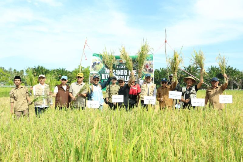 Pemkab Donggala Ajak Universitas Gadjah Mada dan Tadulako Bangkitkan Sektor Pertanian, Lahan Sawit Menyusut 14,65 Persen