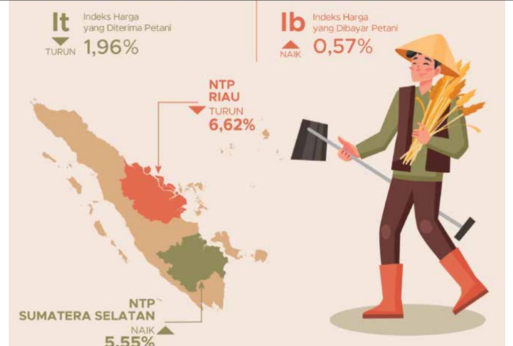 NTP Hortikultura Bengkulu Melonjak 13,86 Persen Imbas Harga Sayur Naik, Petani Perkebunan Justru Tertekan