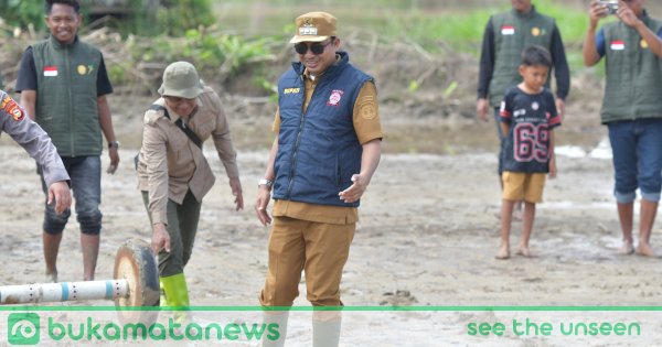 Pemkab Luwu Utara Target Cetak 1.660 Hektare Sawah Baru di 14 Desa Demi Perkuat Lumbung Pangan Daerah