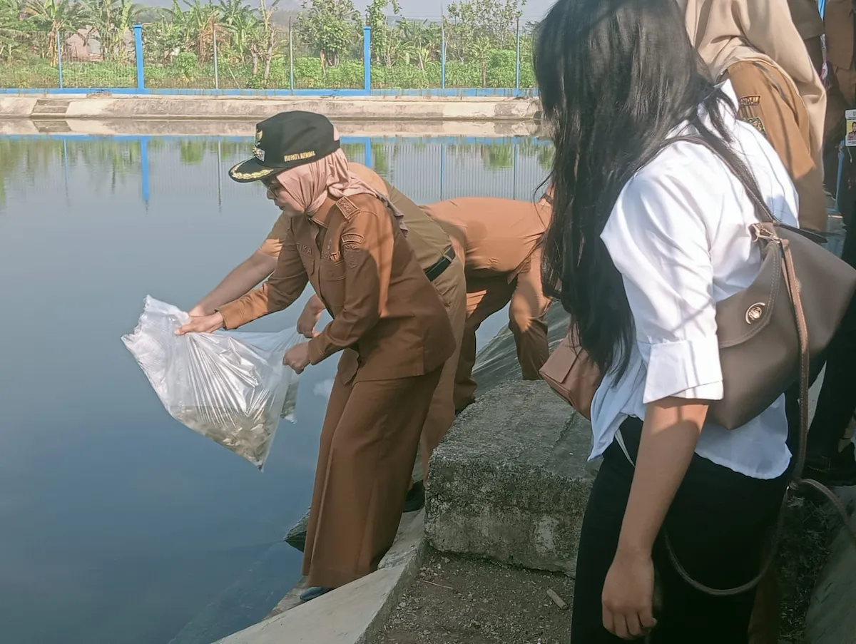 Bupati Kendal Tebar 5.000 Benih Ikan di Embung Ngerjo, Target Konsumsi Ikan Warga Kian Meningkat