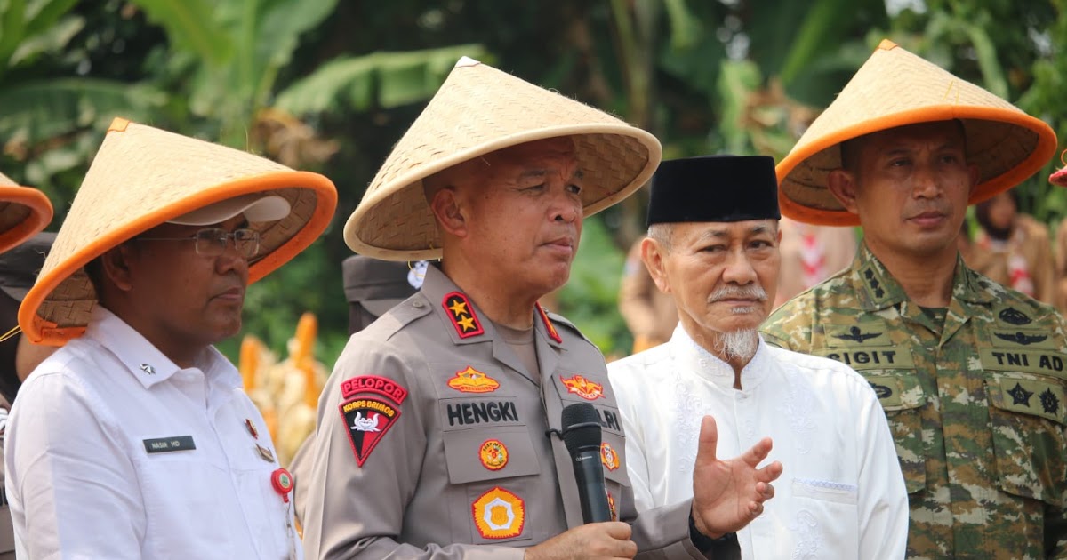 Kapolda Banten dan Kapolres Pandeglang Panen Jagung di Koroncong, Target Ketahanan Pangan Nasional