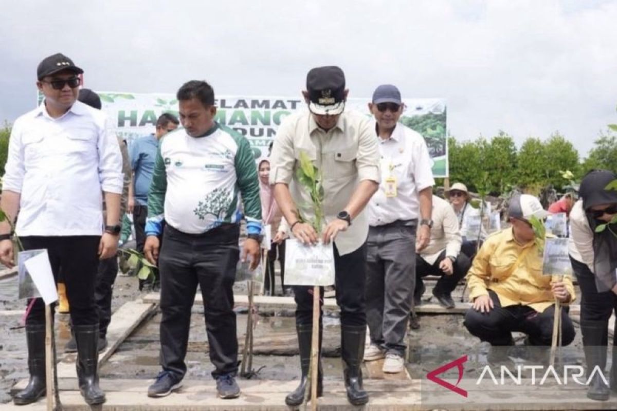Pemprov Kaltim Tanam 10.000 Bibit Mangrove di Muara Badak, Dorong Ekonomi Pesisir Lewat Produk UMKM