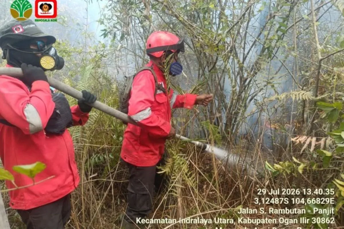 8 Daerah di Sumsel Masuk Zona Merah Karhutla, Palembang Terbaru dengan 35 Kejadian