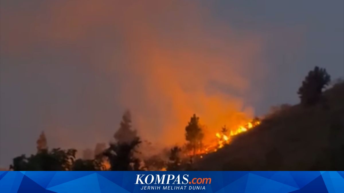 Kebakaran Lahan di Solok Hanguskan 2 Hektare Tanaman Produktif, 17 Petugas Damkar Dikerahkan