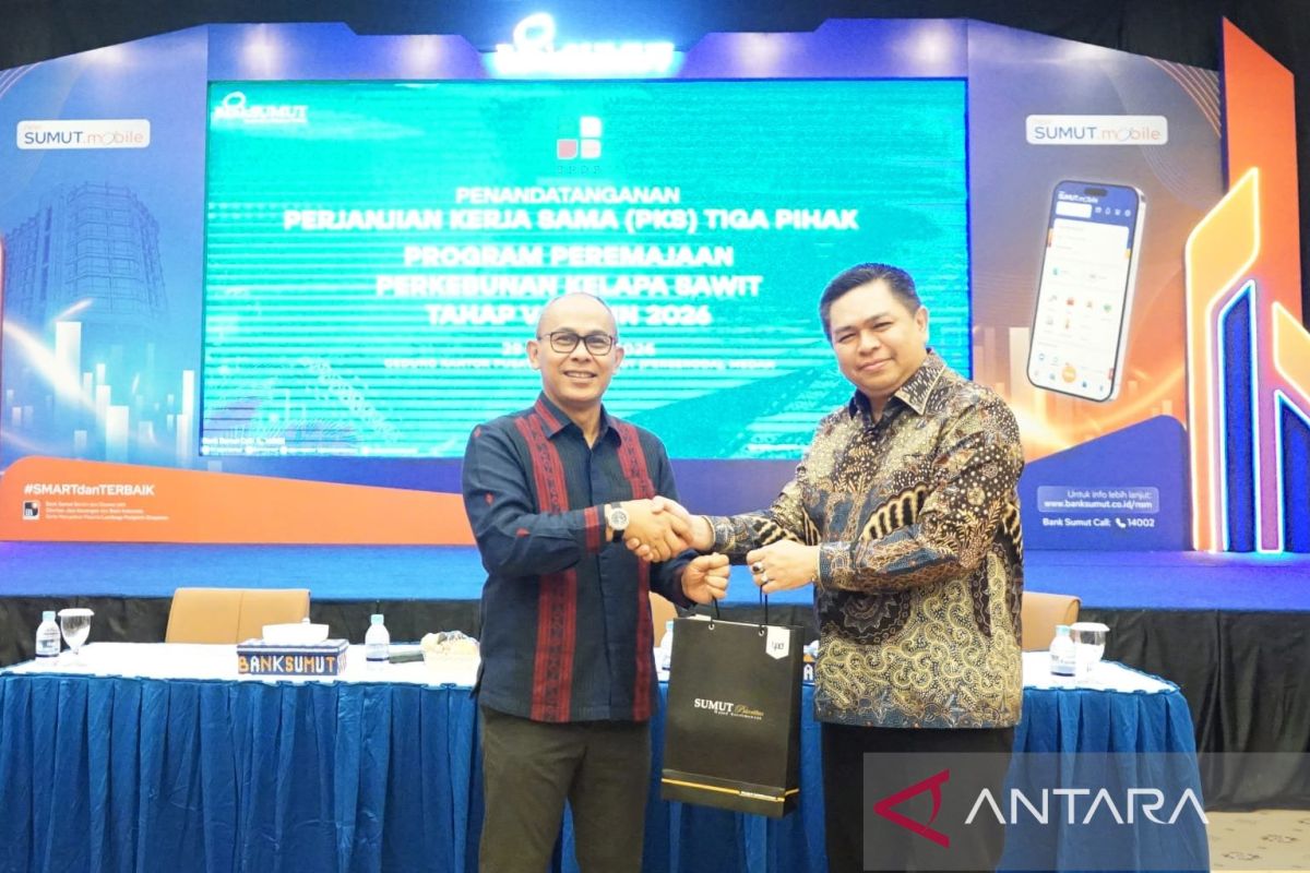 Bank Sumut Siapkan Rp44,5 Miliar untuk Petani Sawit, Ini Syarat dan Cara Akses Dana PSR