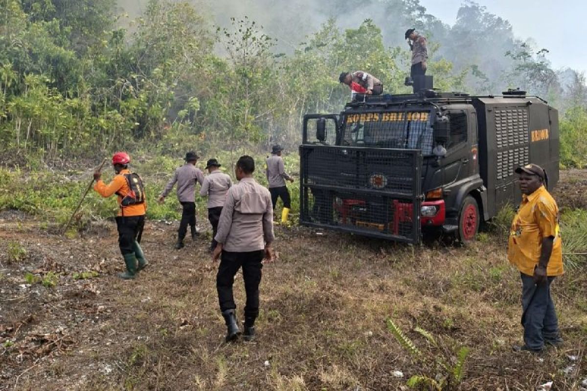 1.086 Titik Api Terdeteksi di 22 Distrik Merauke, BMKG Jayapura Imbau Kesiapsiagaan Karhutla