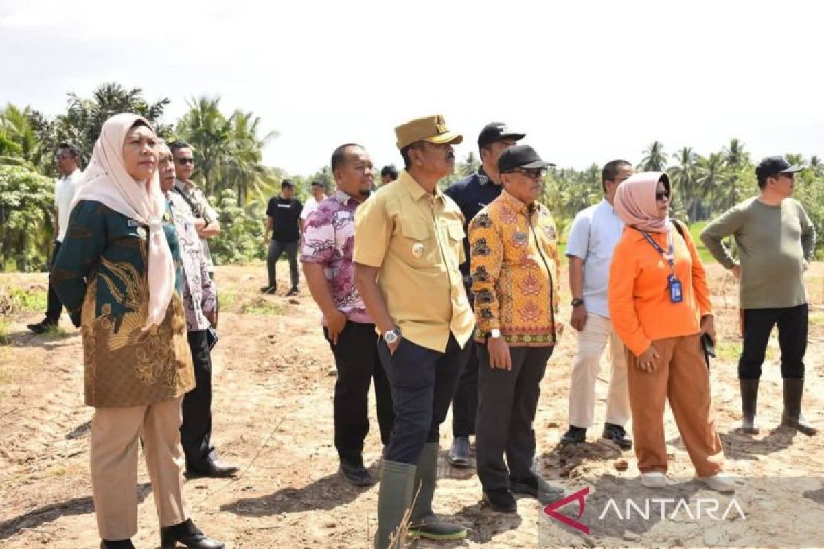 Pemkab Mandailing Natal Siapkan Lahan 4 Hektare di Desa Hutatonga Jadi Pilot Project Pisang Kepok Bebas Fusarium, Gandeng 3 Akademisi UMA