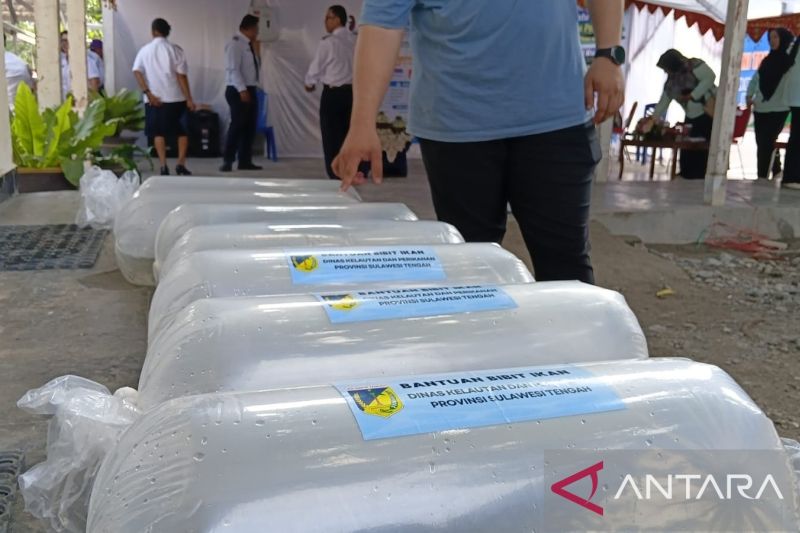 Pemprov Sulteng Salurkan 2.000 Benih Ikan Nila Merah ke 10 Kelompok Budi Daya di Sigi