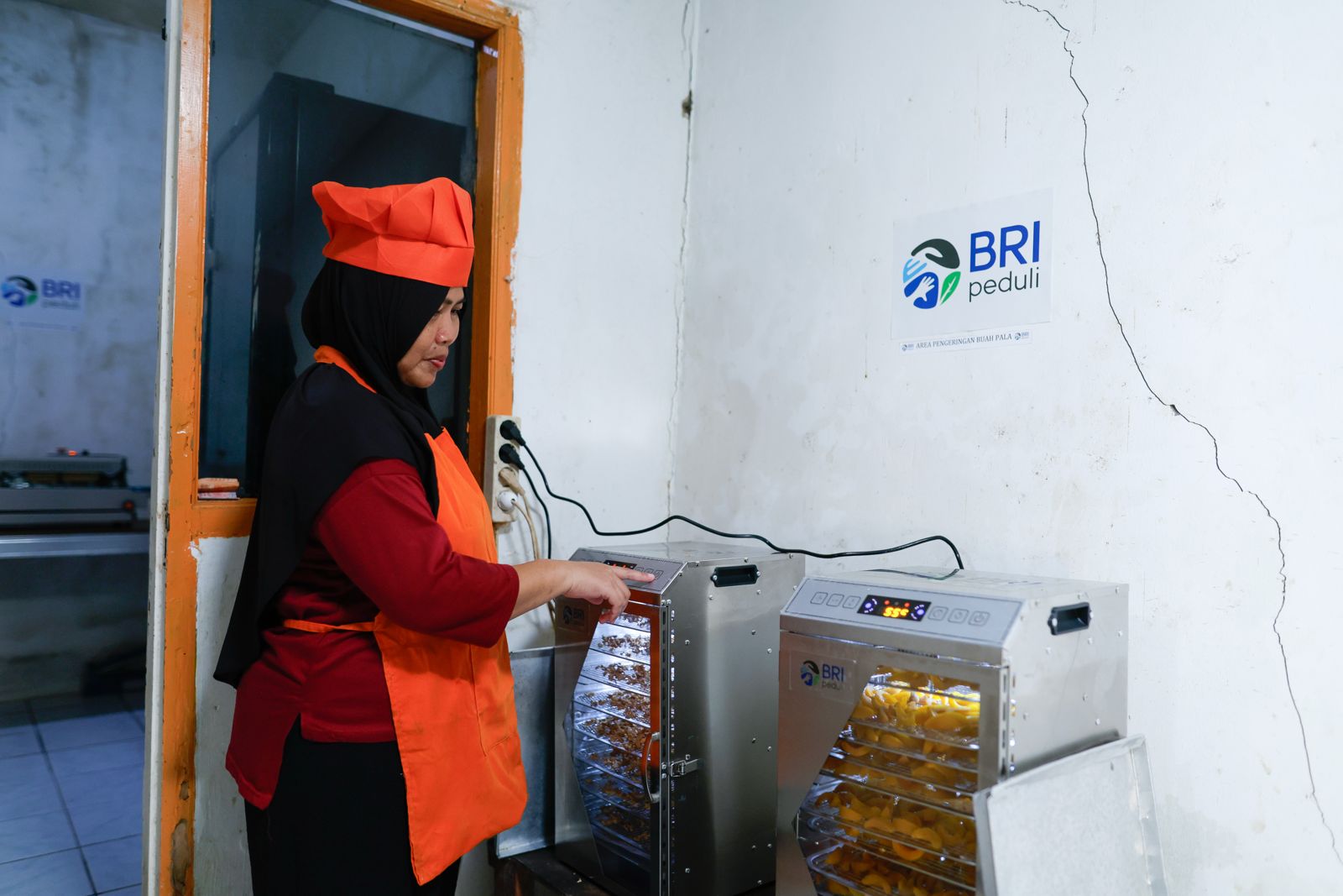 KWT Bina Tani Mysari Pala di Bogor Olah Pala Jadi Manisan hingga Sirup, Program AURA BRI Perkuat Ekonomi Perempuan