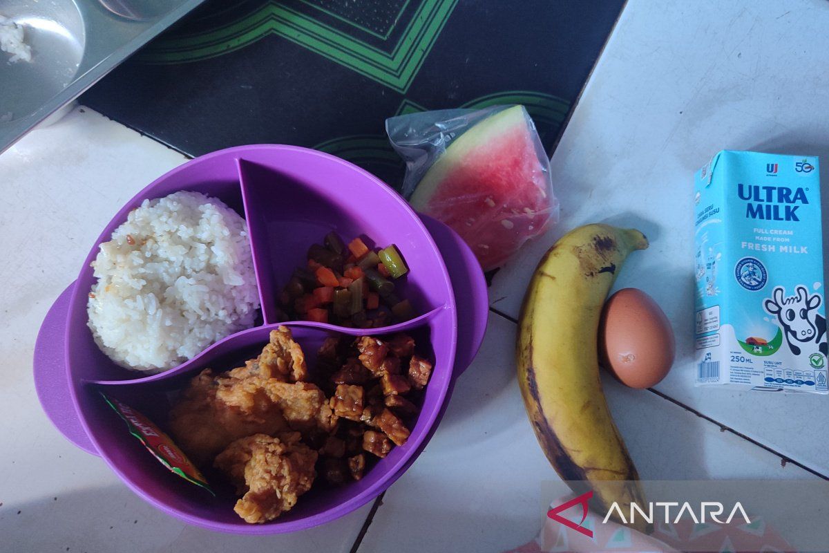348.071 Warga Bengkulu Sudah Terima Makan Bergizi Gratis, Serap 5.704 Tenaga Kerja Lokal