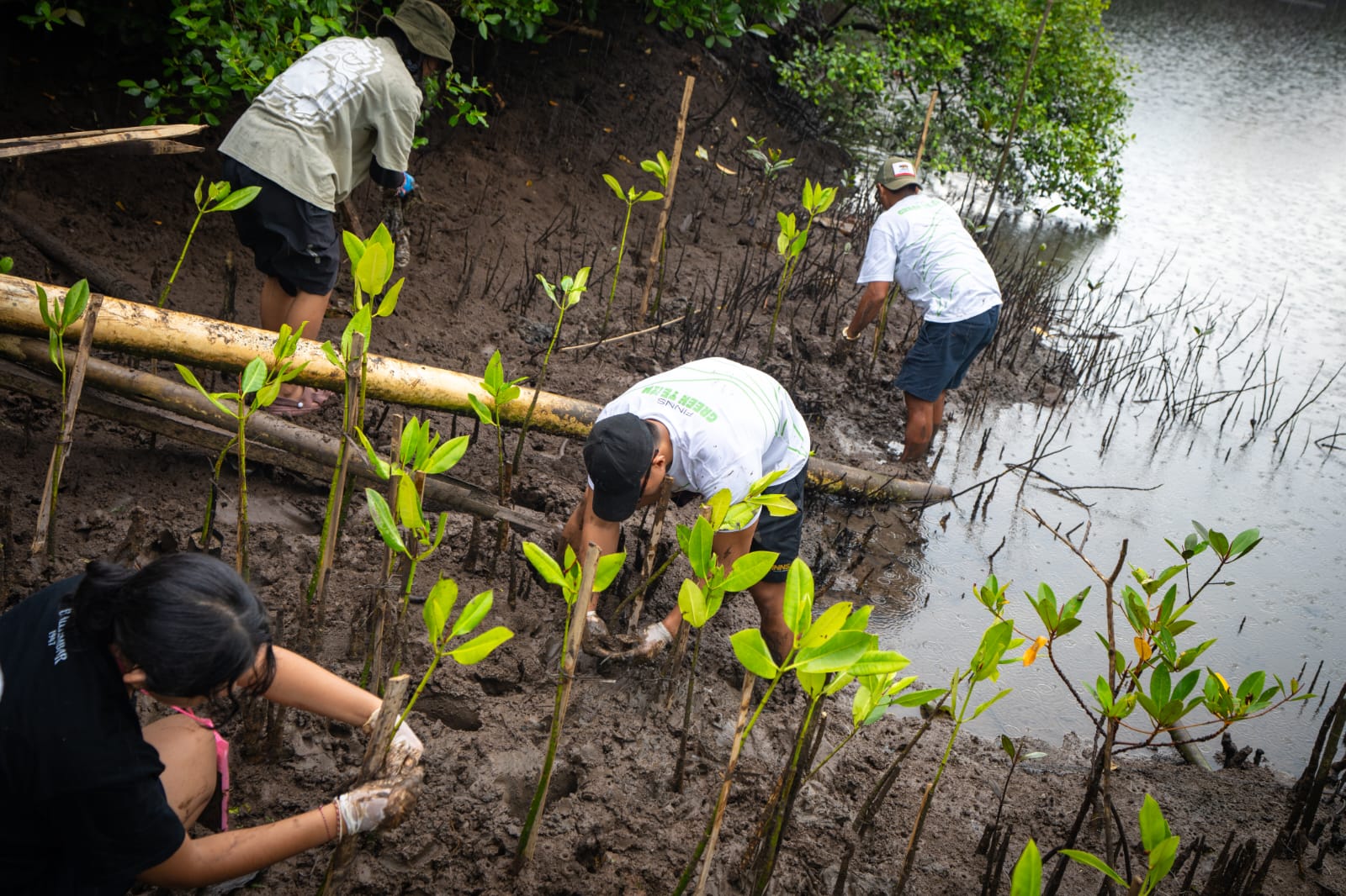 FINNS Bali dan BYPW Tanam 1.200 Bibit Mangrove di Jimbaran Peringati Hari Mangrove Sedunia 2026