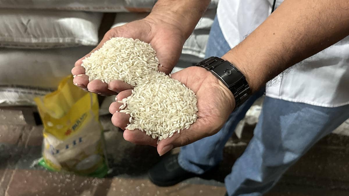 Bulog Bandung Pastikan Stok Beras SPHP 25 Ribu Ton Aman, Kualitas Diklaim Setara Premium