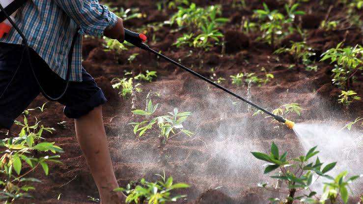 Pemkab Natuna Gandeng Polisi dan Kejaksaan Awasi Pupuk Subsidi, Baru 50 Persen Kebutuhan Petani Terpenuhi