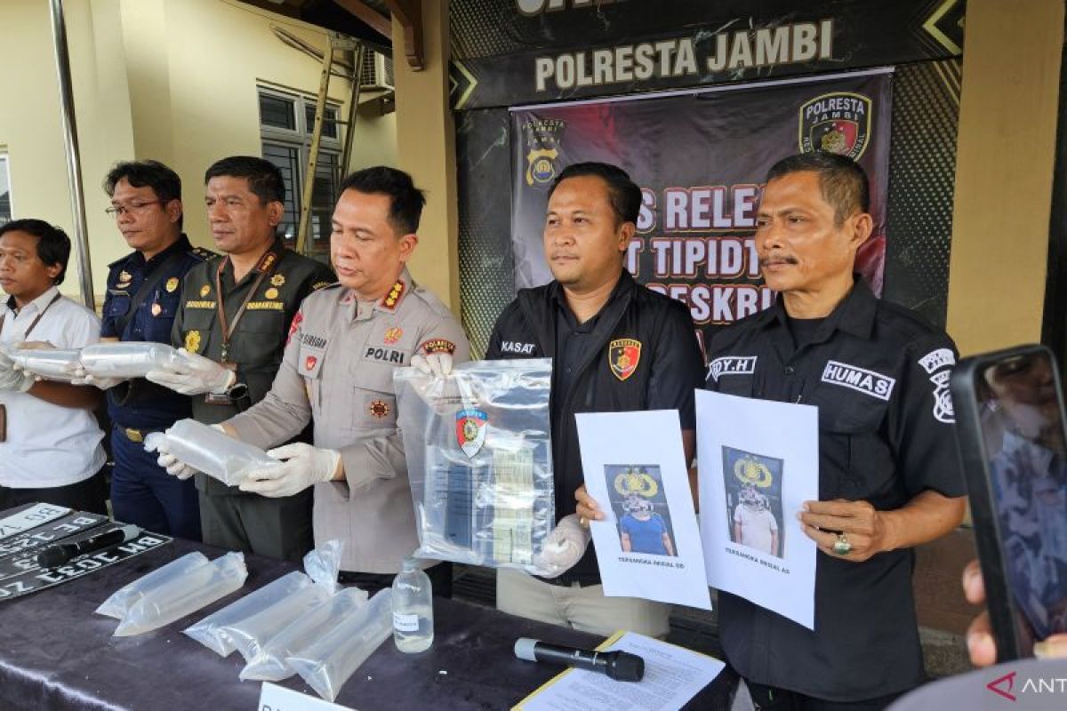Polresta Jambi Gagalkan Penyelundupan 47.872 Benih Bening Lobster, Dua Kurir Dibekuk di Lintas Sumatera