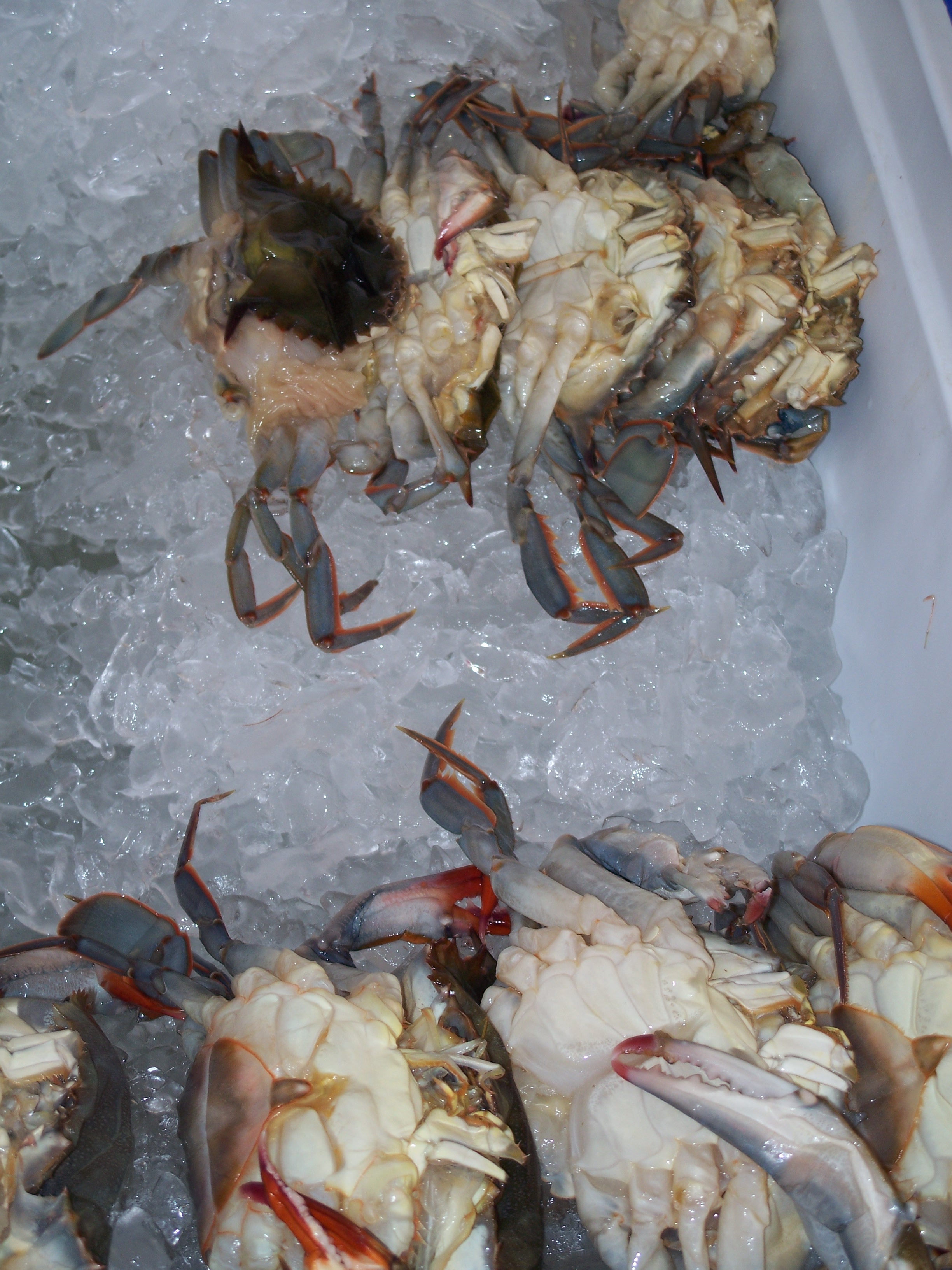 Mengenal Kepiting Soka, Kuliner Ikonik Khas Tarakan yang Wajib Dicoba