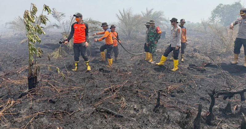 Polda Jambi Pasang Police Line di Lahan Terbakar Seluas 50 Hektare di Sungai Gelam, Penyelidikan Dimulai