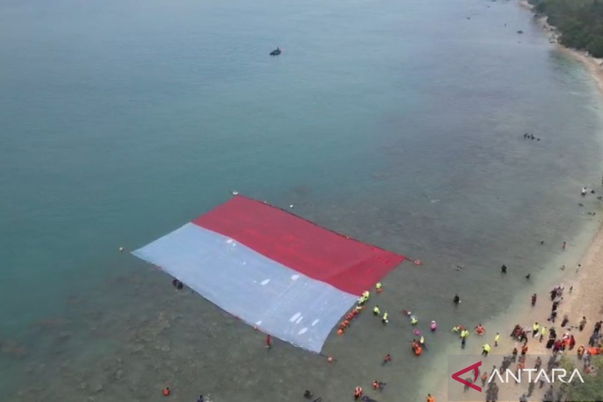 Lanal Banten dan Pulau Merak Besar Squad Bentangkan Merah Putih Raksasa 40x25 Meter di Selat Sunda, Lepas 25 Tukik