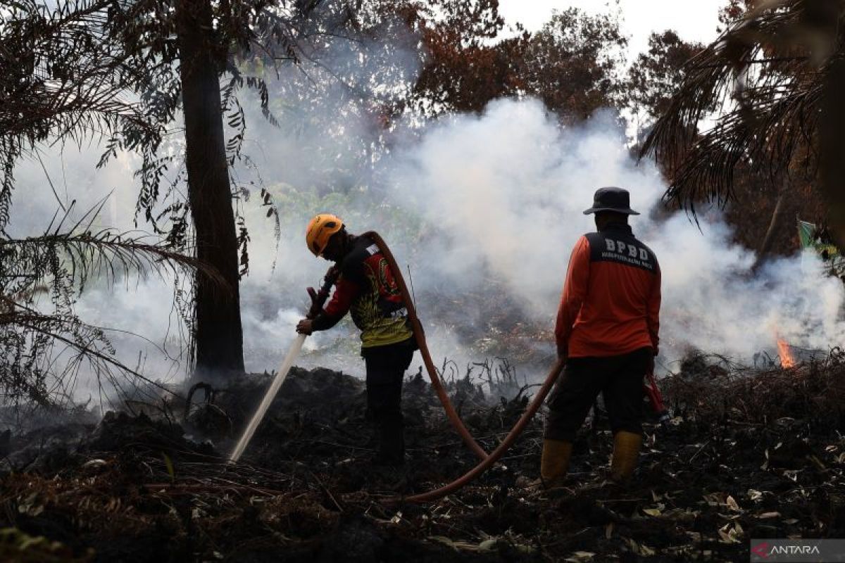 BPBD Kalbar Tetapkan Siaga Darurat Karhutla hingga 15 November 2026, Kubu Raya Mulai Padamkan Gambut