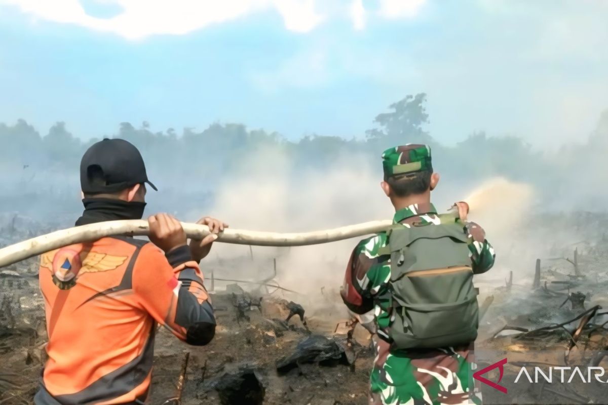 Karhutla di Muara Enim Hanguskan 10 Hektare Lahan, BPBD Sebut Empat Desa Masih Berjuang Padamkan Api