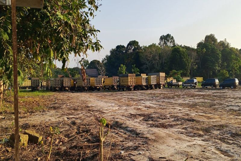 Pemkab Barito Timur Siapkan Lahan Satu Hektare di Belakang Dishub Jadi Rest Area Truk Lintas Provinsi