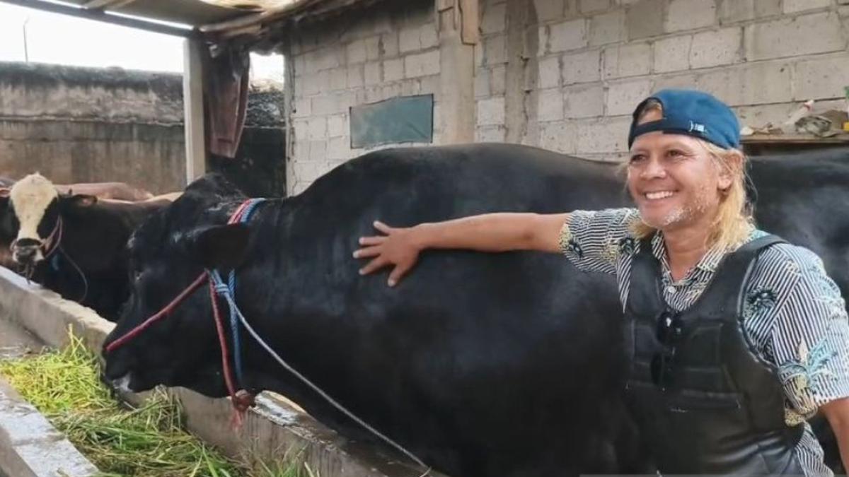 Sapi Brangus 1,15 Ton Asal Tangerang Jadi Hewan Kurban Pilihan Presiden Prabowo untuk Iduladha 2026, Dibeli Rp 110 Juta